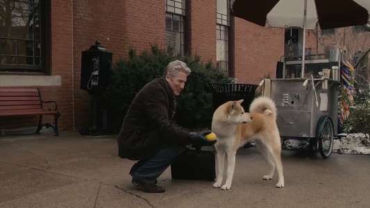 Hachi: A Dog's Tale - Backdrops