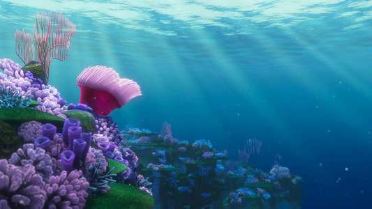 Finding Nemo - Backdrops