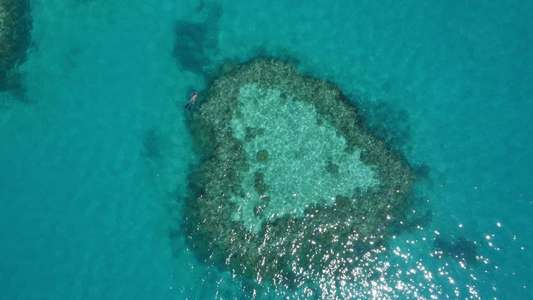 Ultimate Freedive: The Great Barrier Reef 4K - Backdrop