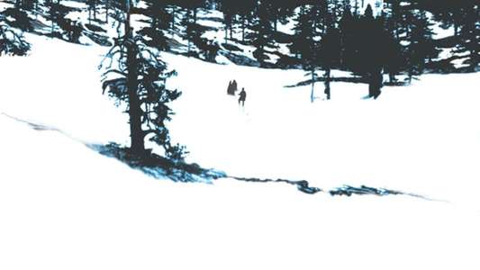 The Donner Party - Backdrop