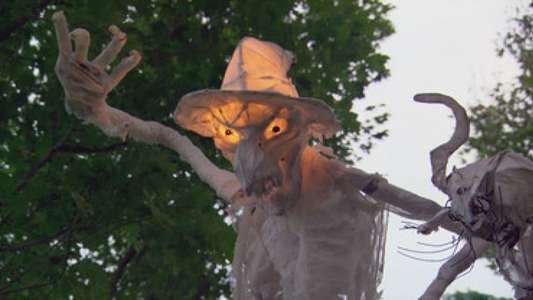 Martha Stewart Holidays: Martha's Halloween Ideas - Backdrop