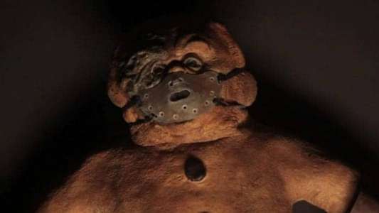 Gingerdead Man 3: Saturday Night Cleaver - Backdrop