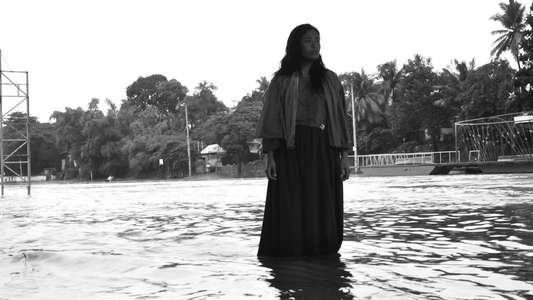 Elegy to the Visitor from the Revolution - Backdrop