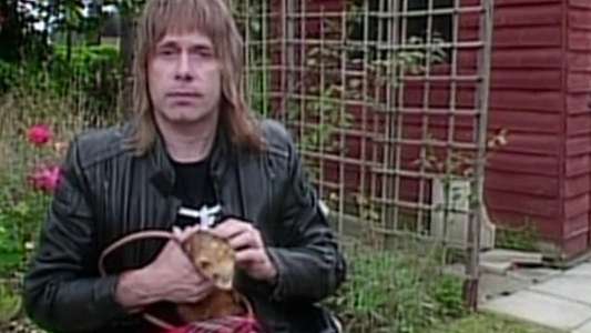 The Return of Spinal Tap - Backdrop