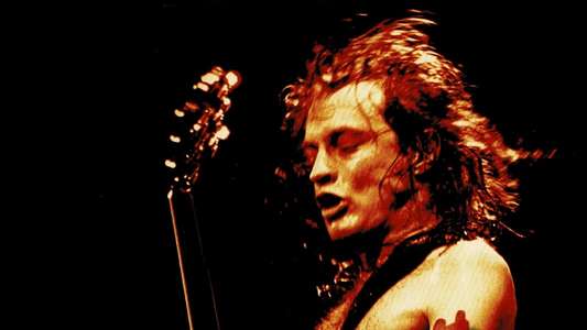 AC/DC - Live at Donington - Backdrop