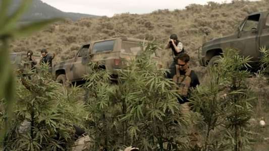 Afghan Luke - Backdrop