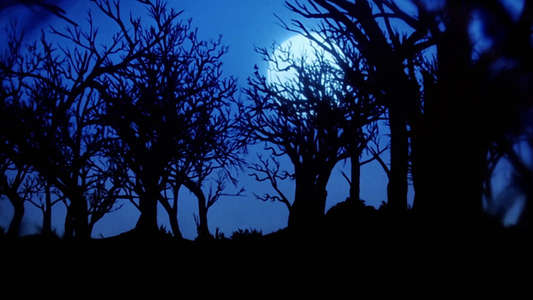 Pet Sematary II - Backdrop