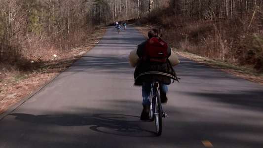 Pet Sematary II - Backdrop
