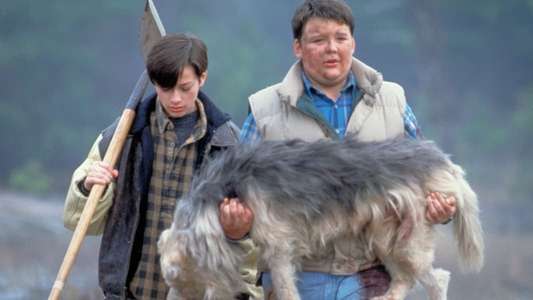 Pet Sematary II - Backdrop