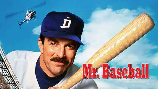Mr. Baseball - Backdrop