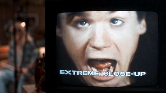 Wayne's World - Backdrop