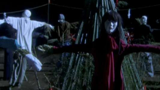 Scarecrow - Backdrop