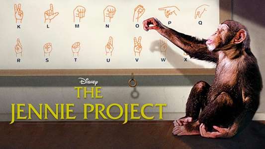 The Jennie Project - Backdrop