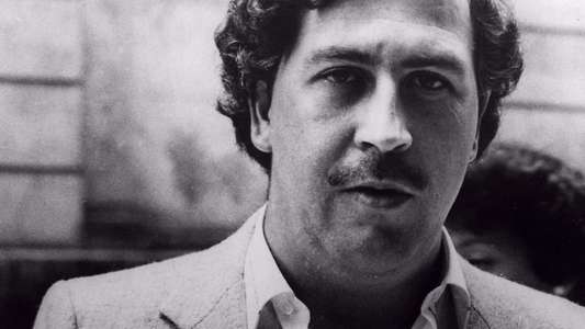 Pablo Escobar: King of Cocaine - Backdrop