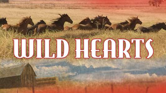 Wild Hearts - Backdrop