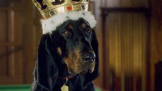 The Duke - Backdrop