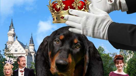 The Duke - Backdrop