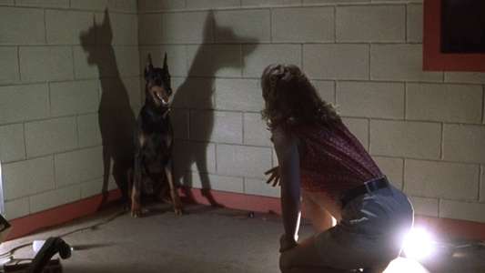Shadow Builder - Backdrop