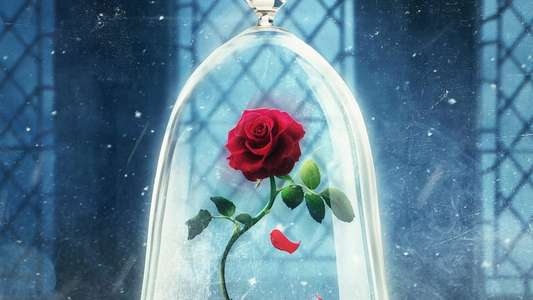 Beauty and the Beast: A 30th Celebration - Backdrops
