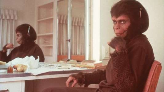 Behind the Planet of the Apes - Backdrop