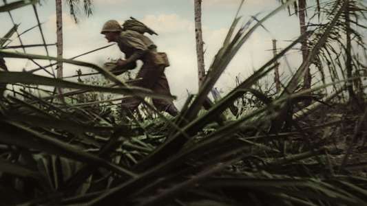 World War II: From the Frontlines - Backdrops