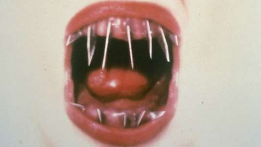 The Dentist 2: Brace Yourself - Backdrop