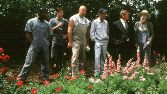 Greenfingers - Backdrop