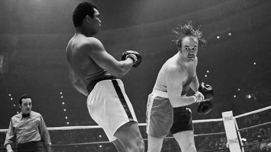 The Real Rocky - Backdrop