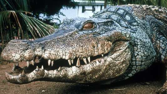 Crocodile 2: Death Swamp - Backdrop
