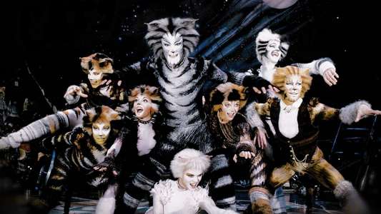 Cats - Backdrop