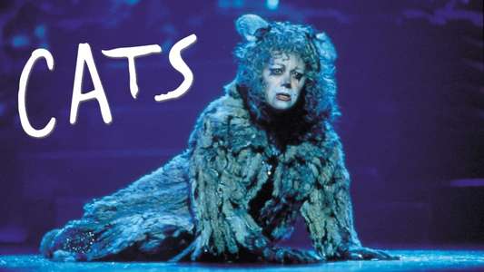 Cats - Backdrop