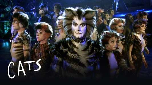 Cats - Backdrop