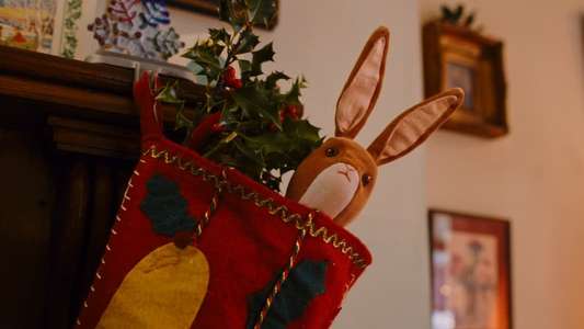 The Velveteen Rabbit - Backdrop