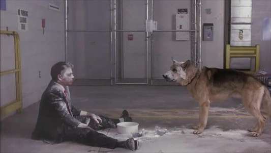Corky Romano - Backdrop