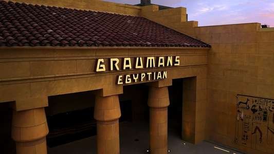 Temple of Film: 100 Years of the Egyptian Theatre - Backdrop