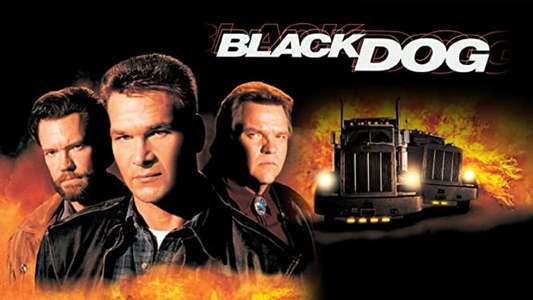 Black Dog - Backdrop