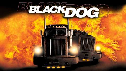 Black Dog - Backdrop