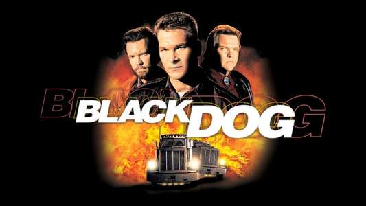 Black Dog - Backdrop