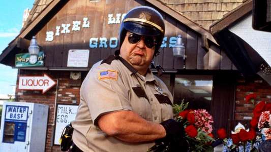 One Night at McCool's - Backdrop