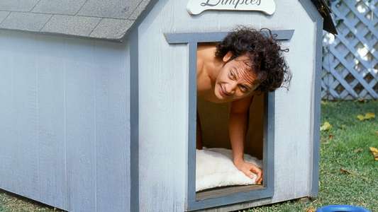 The Animal - Backdrop