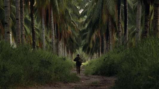 The Thin Red Line - Backdrop