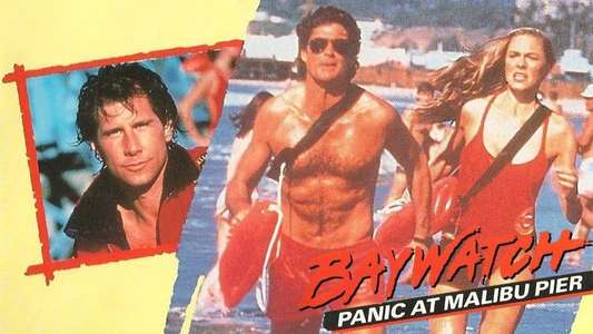 Baywatch: Panic at Malibu Pier - Backdrop