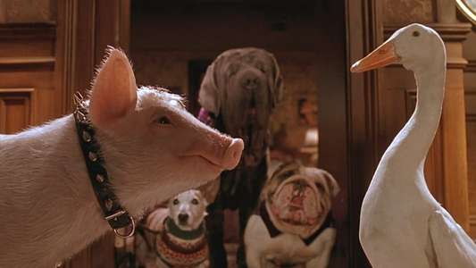 Babe: Pig in the City - Backdrop