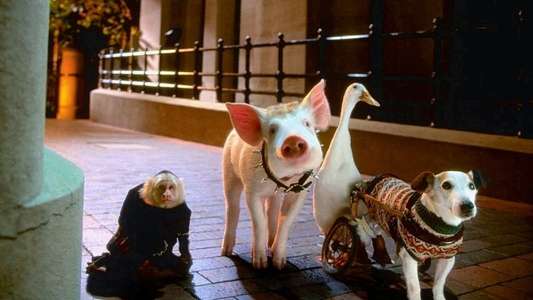 Babe: Pig in the City - Backdrop