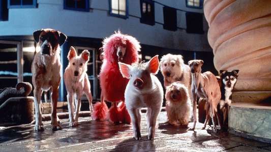 Babe: Pig in the City - Backdrop
