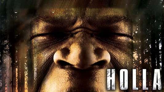 Holla - Backdrop