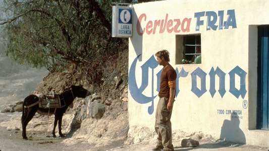 The Mexican - Backdrop