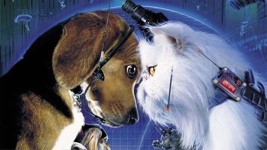 Cats & Dogs - Backdrop