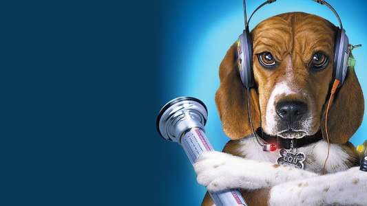 Cats & Dogs - Backdrop