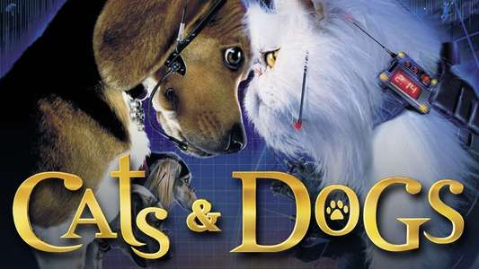 Cats & Dogs - Backdrop